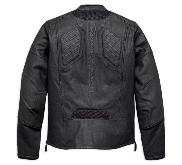 Lionhearted Moto - Image 2